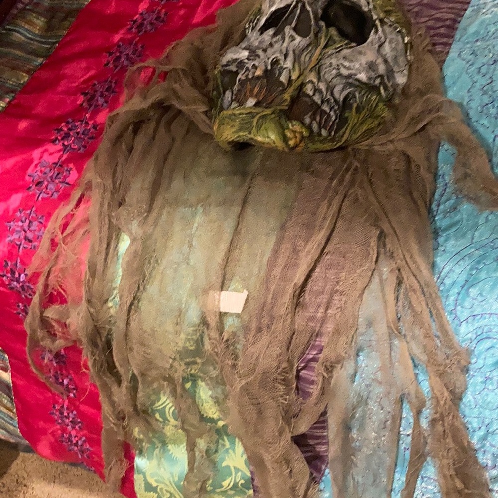 Swamp monster costume - Picture 9 of 11